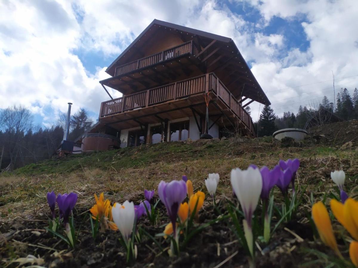 Бриндуш Tatariv Exterior foto